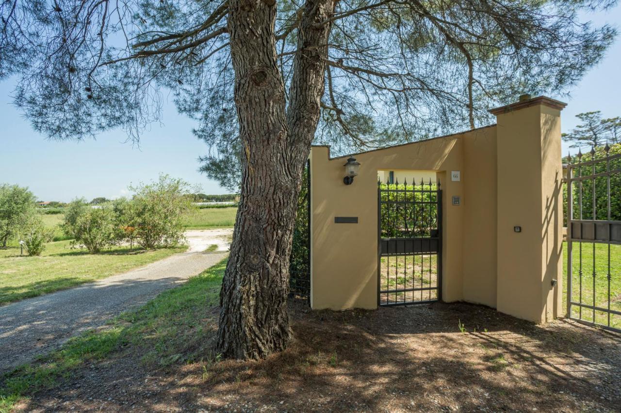 Podere Belvedere Livorno Ngoại thất bức ảnh