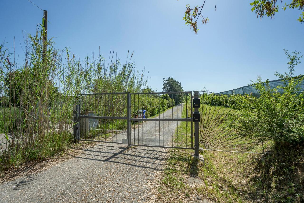 Podere Belvedere Livorno Ngoại thất bức ảnh