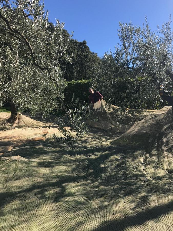 Podere Belvedere Livorno Ngoại thất bức ảnh